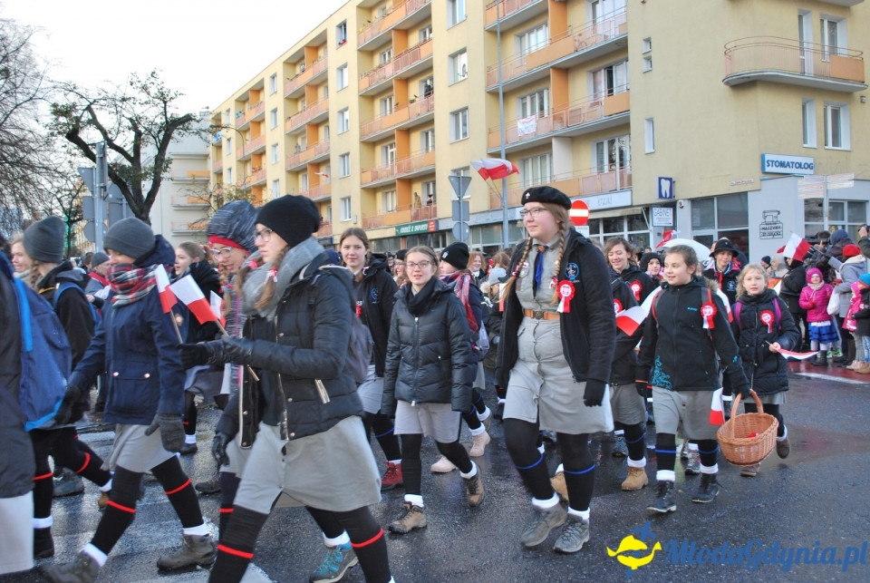 Parada Niepodległości 2017 (II)