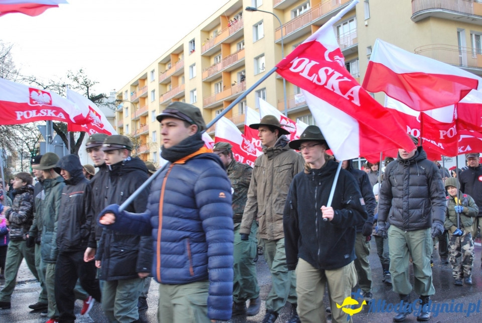 Parada Niepodległości 2017 (II)