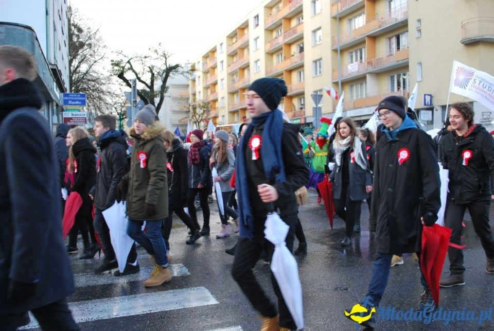 Parada Niepodległości 2017 (II)