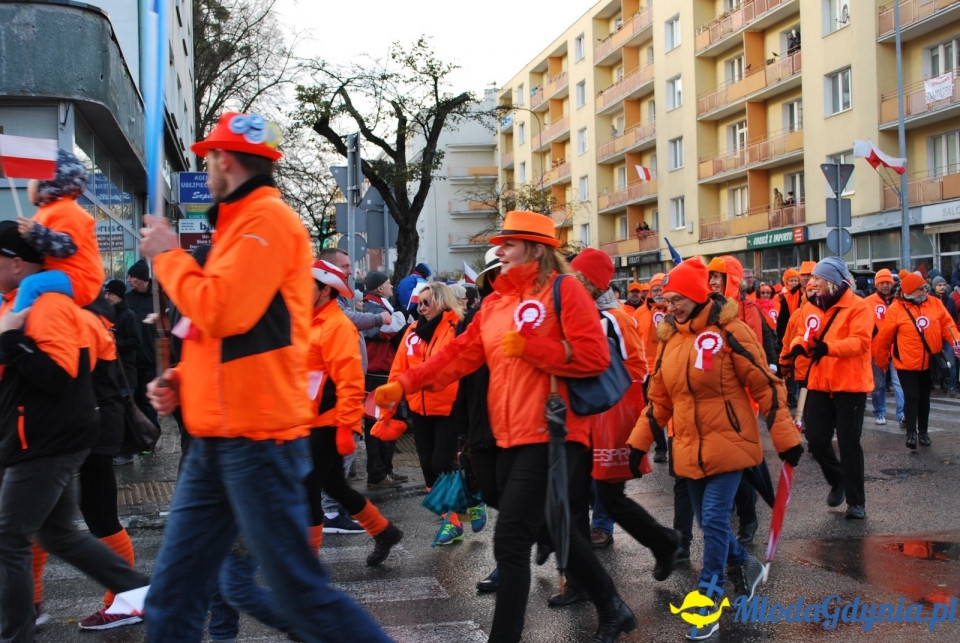 Parada Niepodległości 2017 (II)