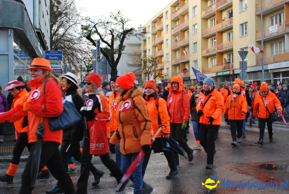 Parada Niepodległości 2017 (II)