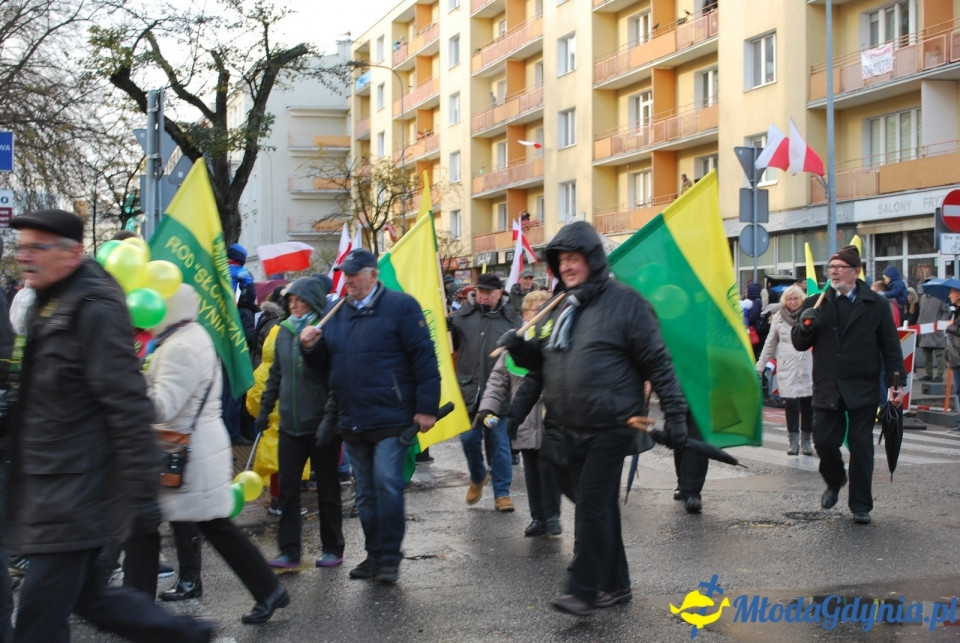 Parada Niepodległości 2017 (II)