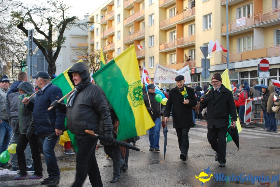 Parada Niepodległości 2017 (II)