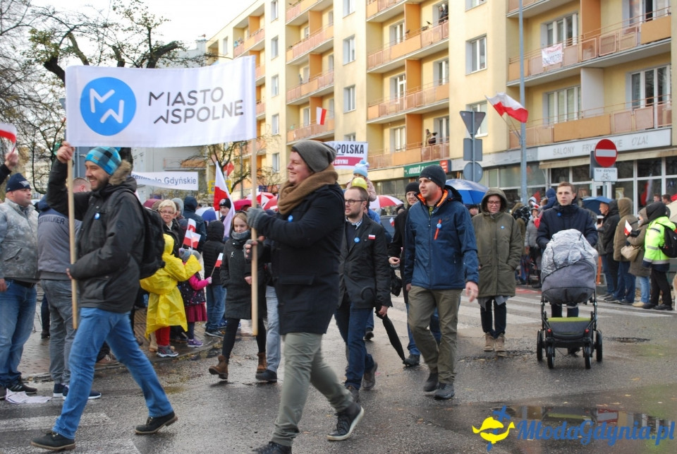 Parada Niepodległości 2017 (II)