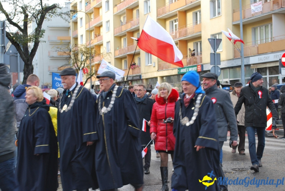 Parada Niepodległości 2017 (II)