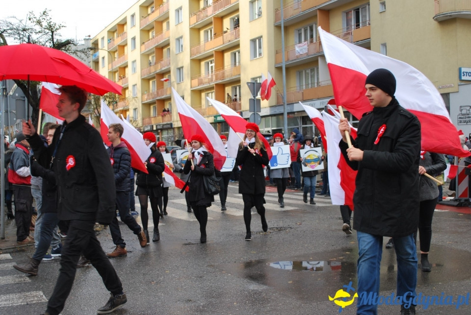 Parada Niepodległości 2017 (II)
