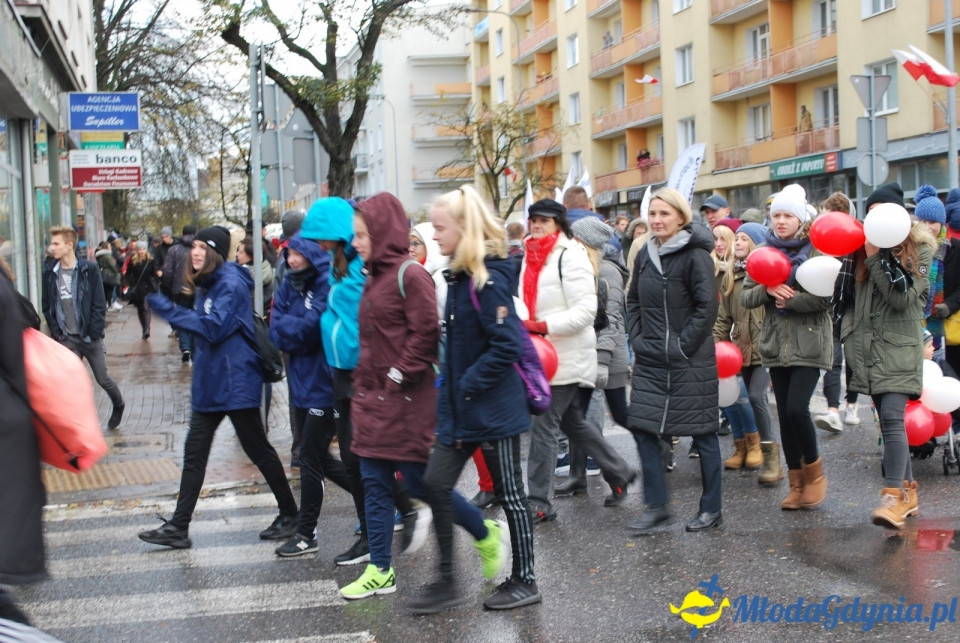 Parada Niepodległości 2017 (II)