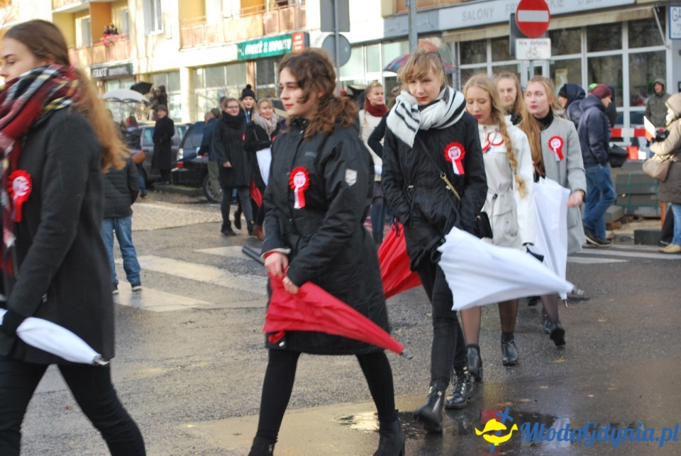 Parada Niepodległości 2017 (II)