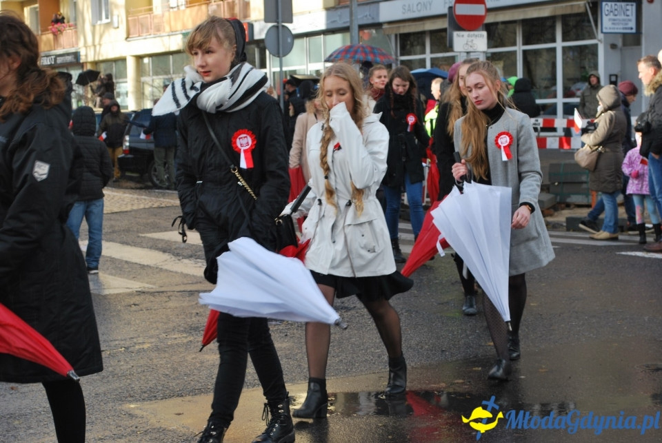 Parada Niepodległości 2017 (II)