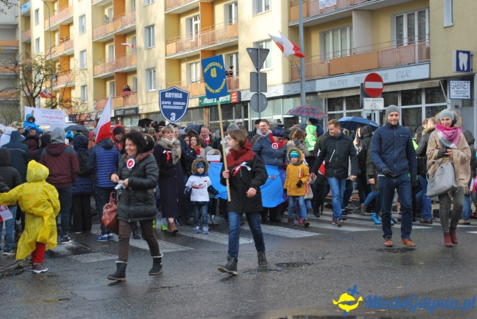 Parada Niepodległości 2017 (II)