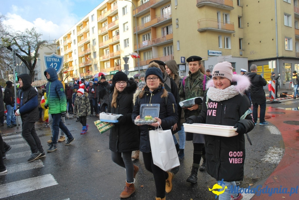 Parada Niepodległości 2017 (II)