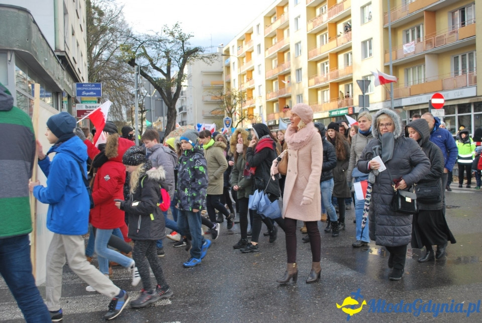 Parada Niepodległości 2017 (II)