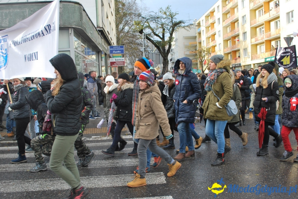 Parada Niepodległości 2017 (II)