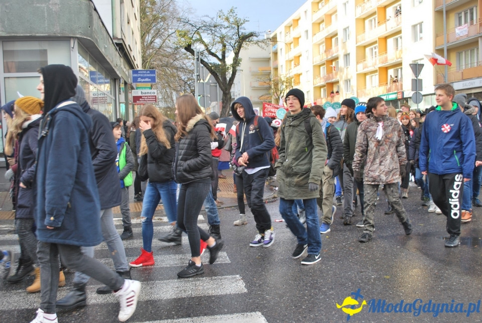 Parada Niepodległości 2017 (II)