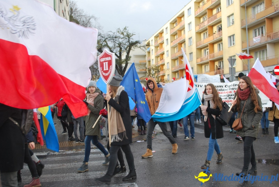 Parada Niepodległości 2017 (II)