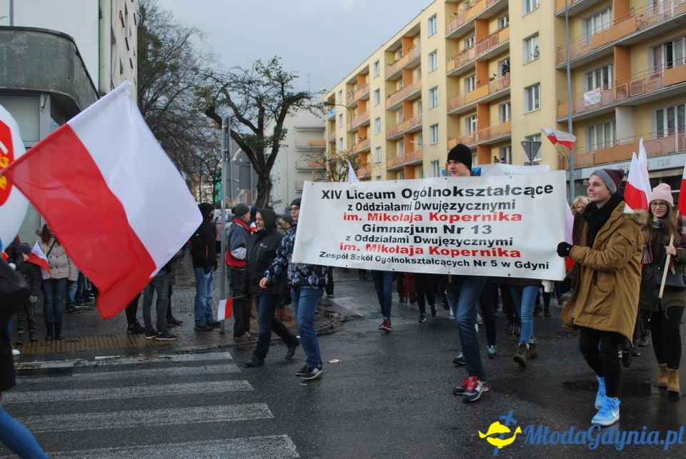 Parada Niepodległości 2017 (II)