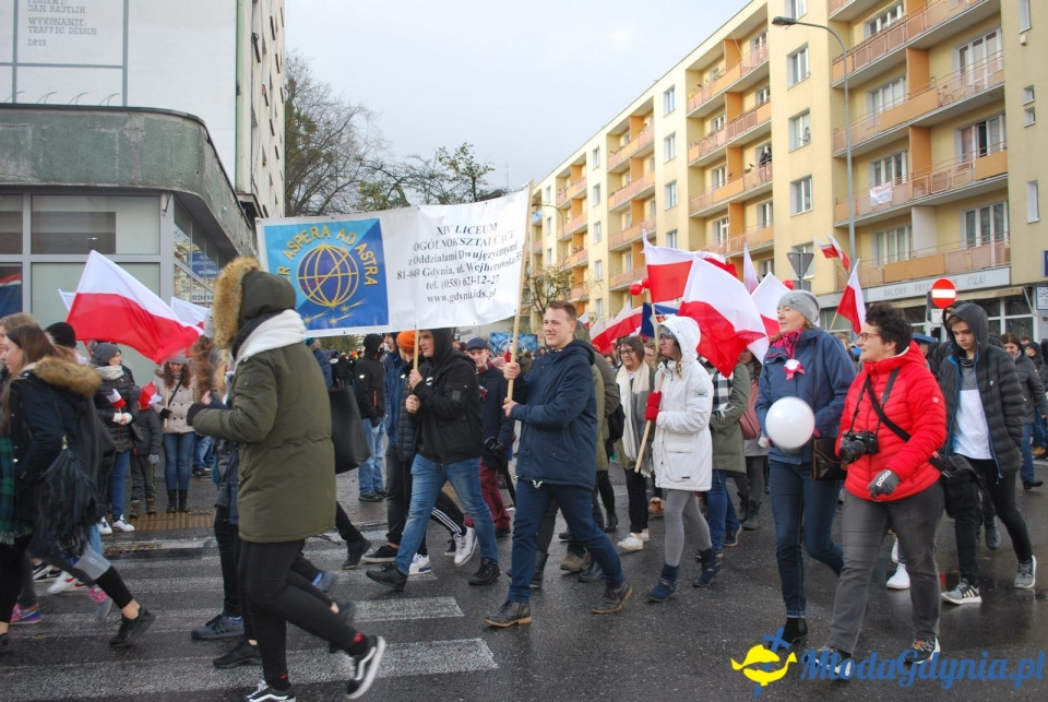 Parada Niepodległości 2017 (II)