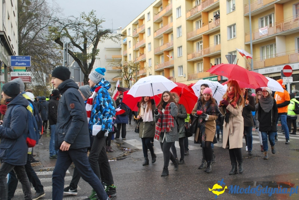 Parada Niepodległości 2017 (II)