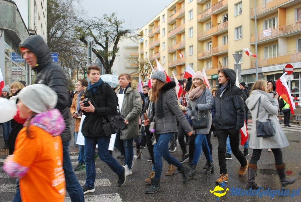 Parada Niepodległości 2017 (II)