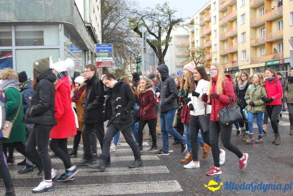 Parada Niepodległości 2017 (II)