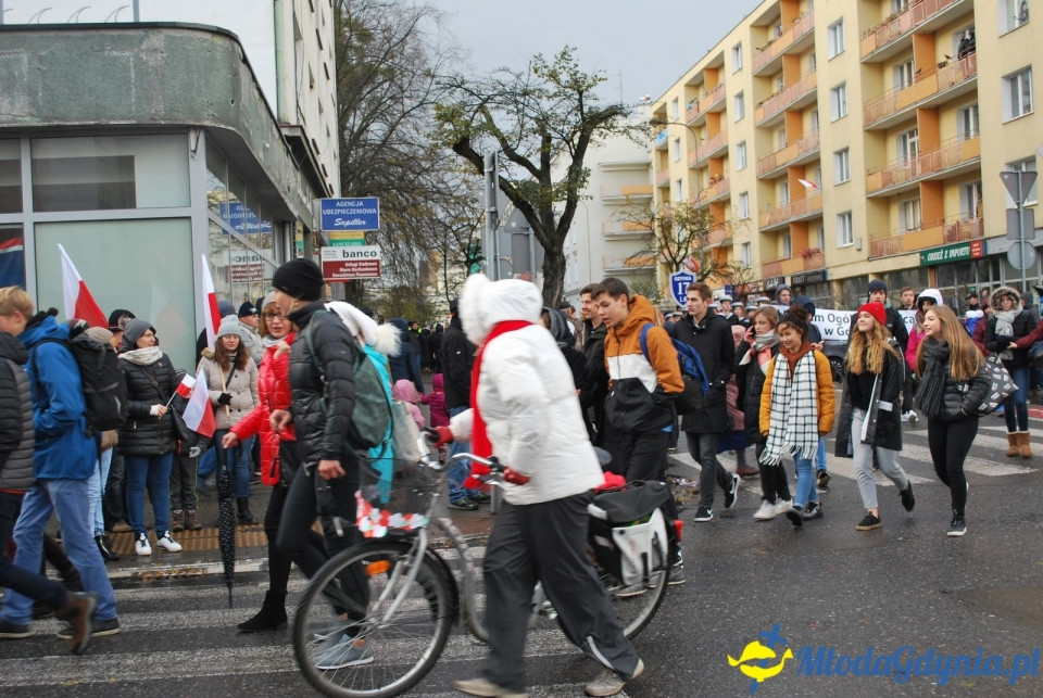 Parada Niepodległości 2017 (II)