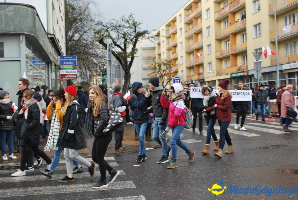 Parada Niepodległości 2017 (II)