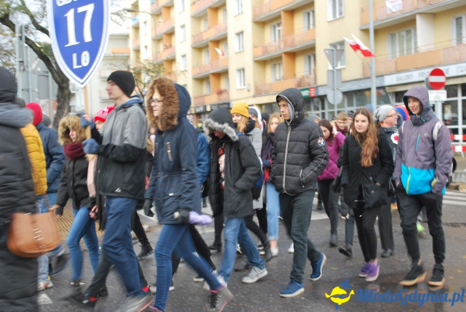 Parada Niepodległości 2017 (II)