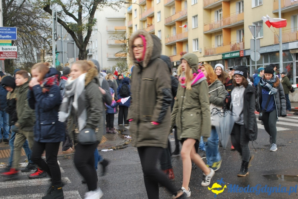 Parada Niepodległości 2017 (II)