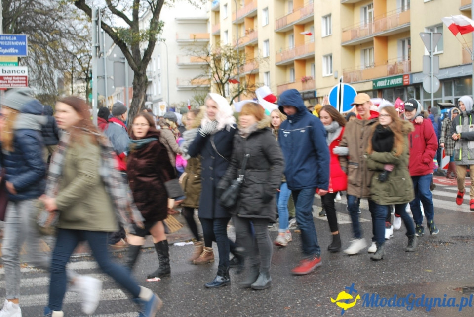Parada Niepodległości 2017 (II)