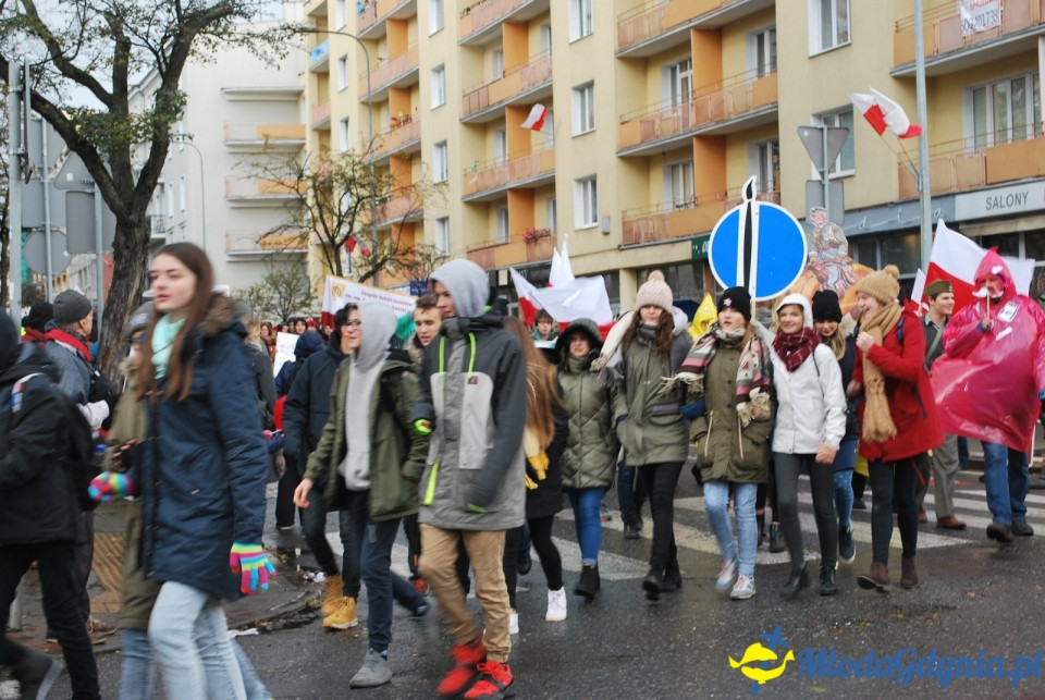 Parada Niepodległości 2017 (II)