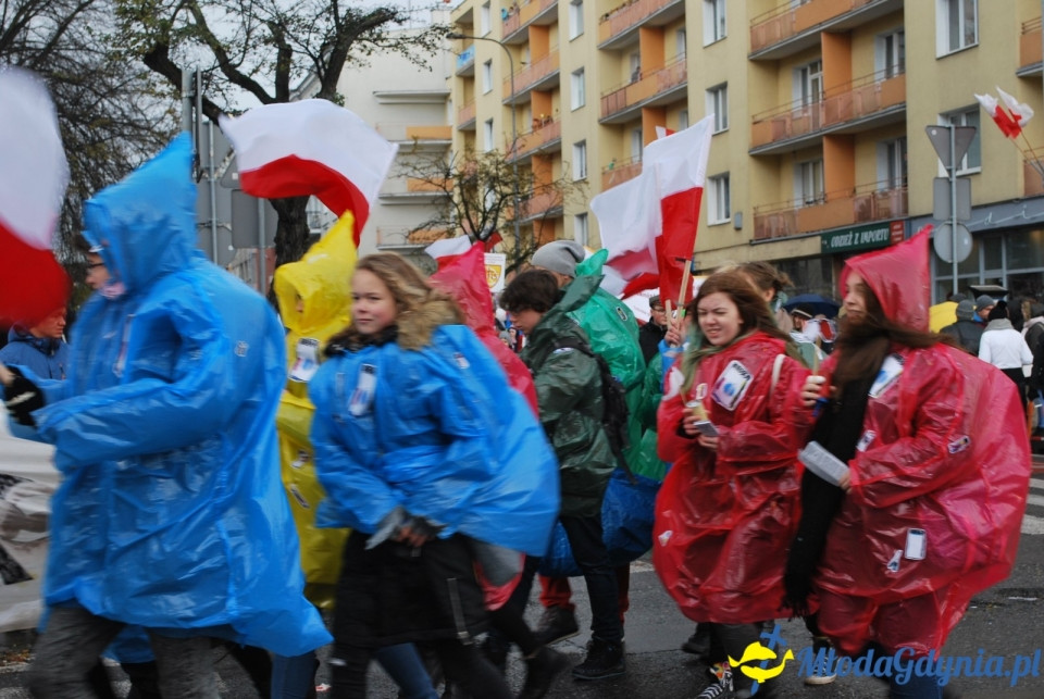 Parada Niepodległości 2017 (II)