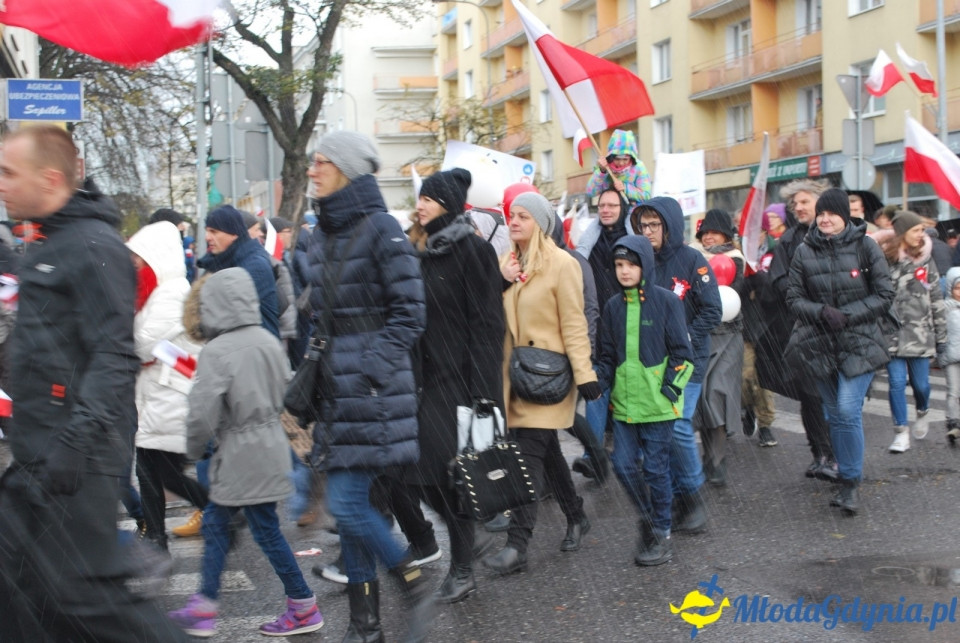 Parada Niepodległości 2017 (II)