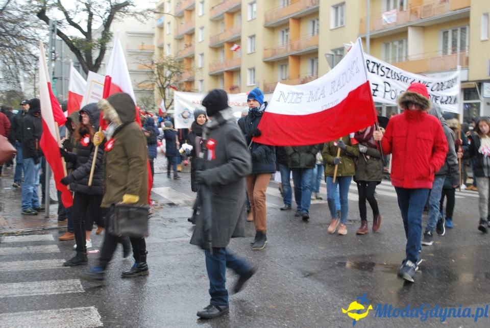 Parada Niepodległości 2017 (II)