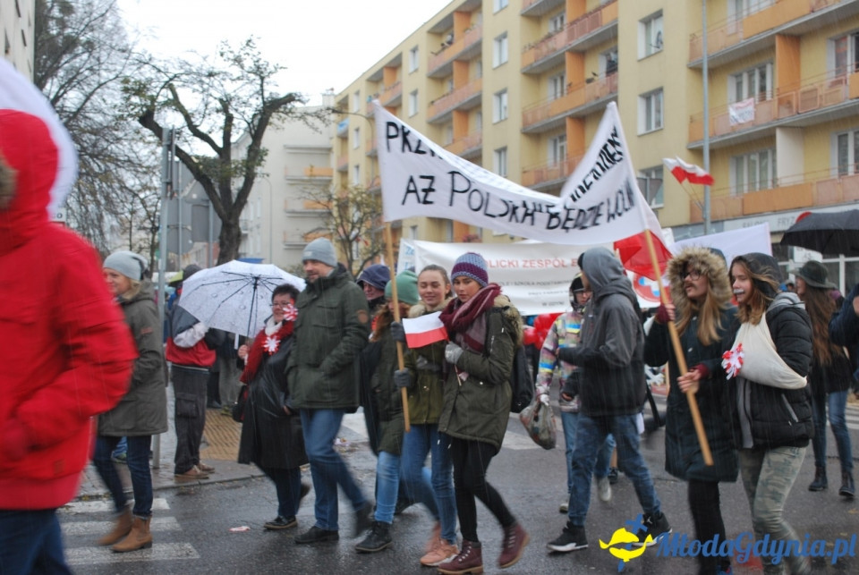 Parada Niepodległości 2017 (II)