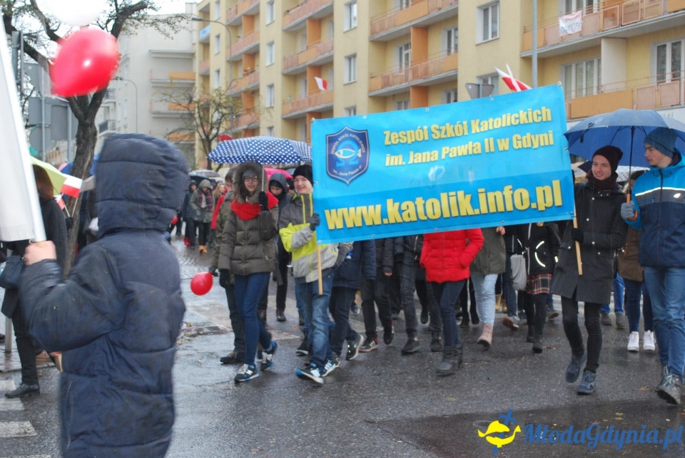 Parada Niepodległości 2017 (II)