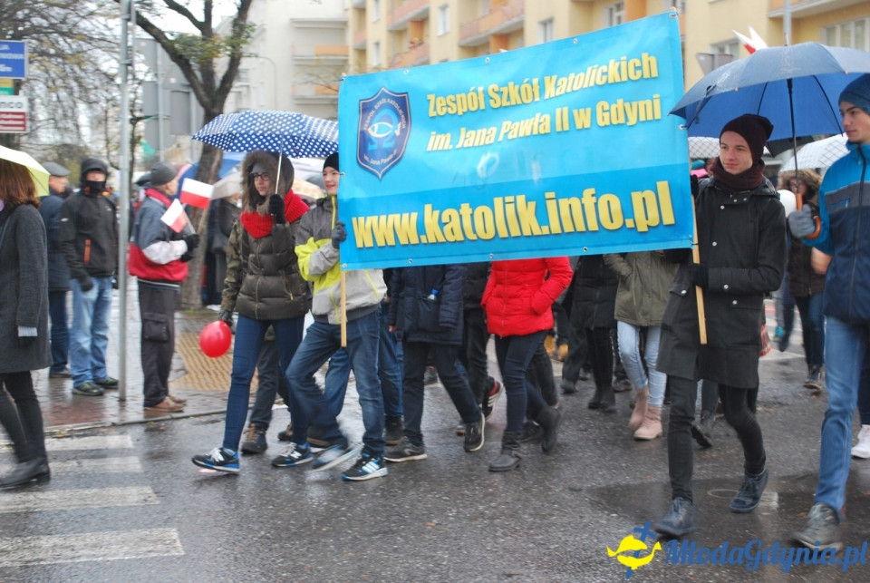 Parada Niepodległości 2017 (II)