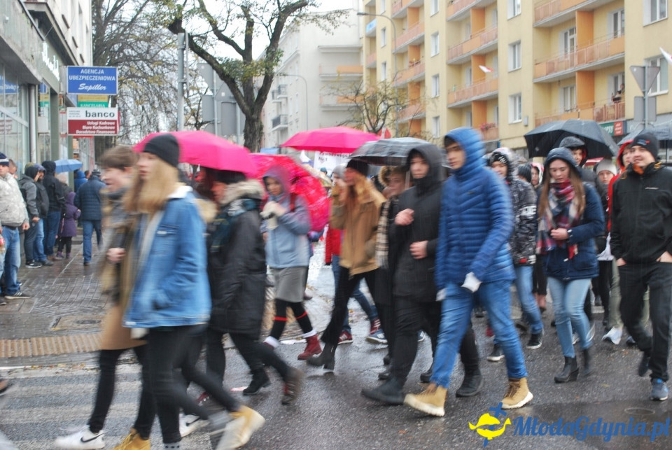 Parada Niepodległości 2017 (II)