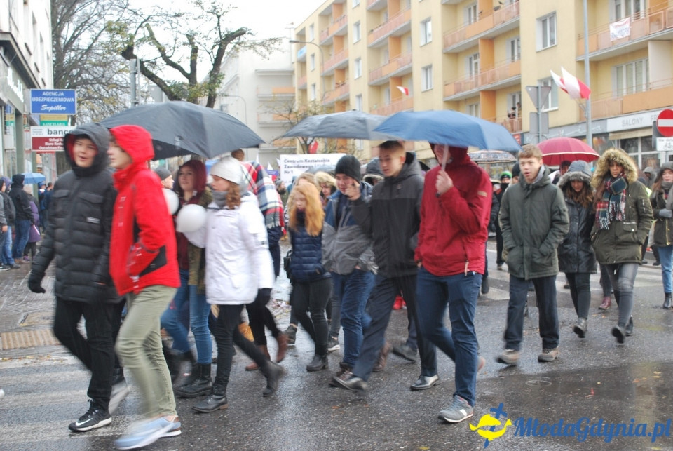 Parada Niepodległości 2017 (II)