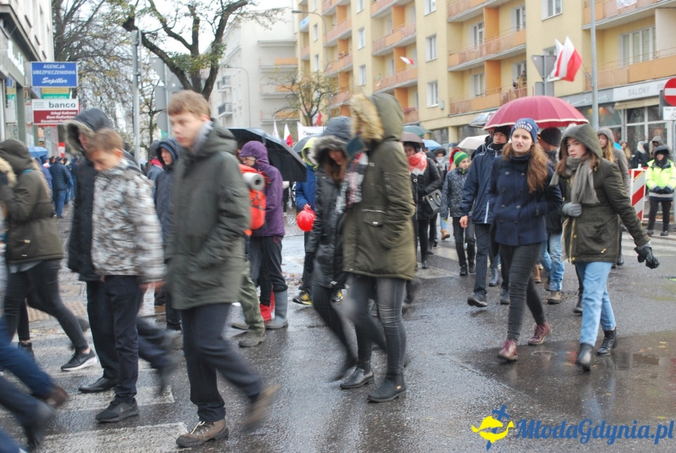 Parada Niepodległości 2017 (II)