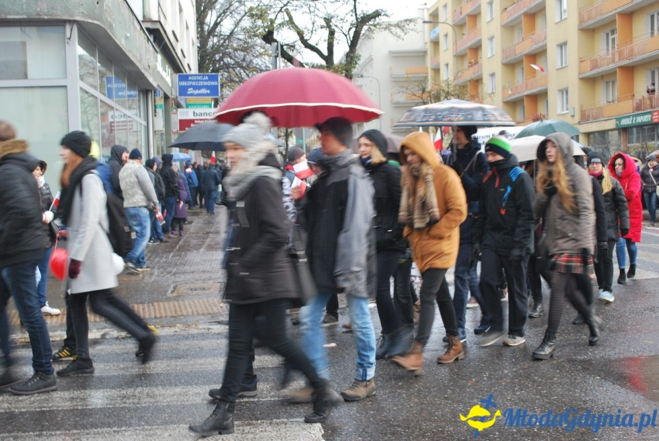 Parada Niepodległości 2017 (II)