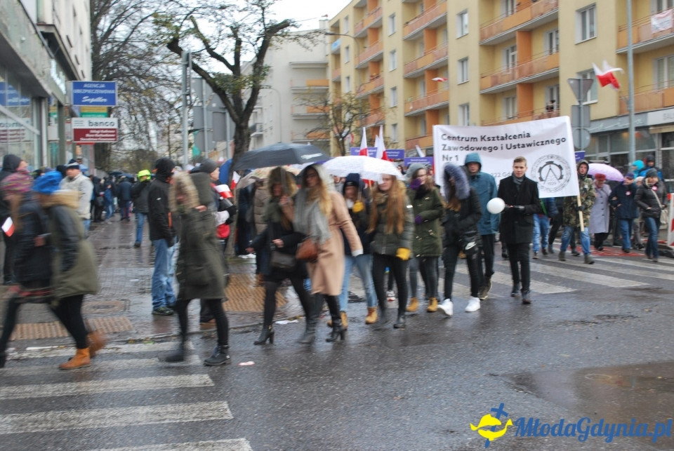 Parada Niepodległości 2017 (II)