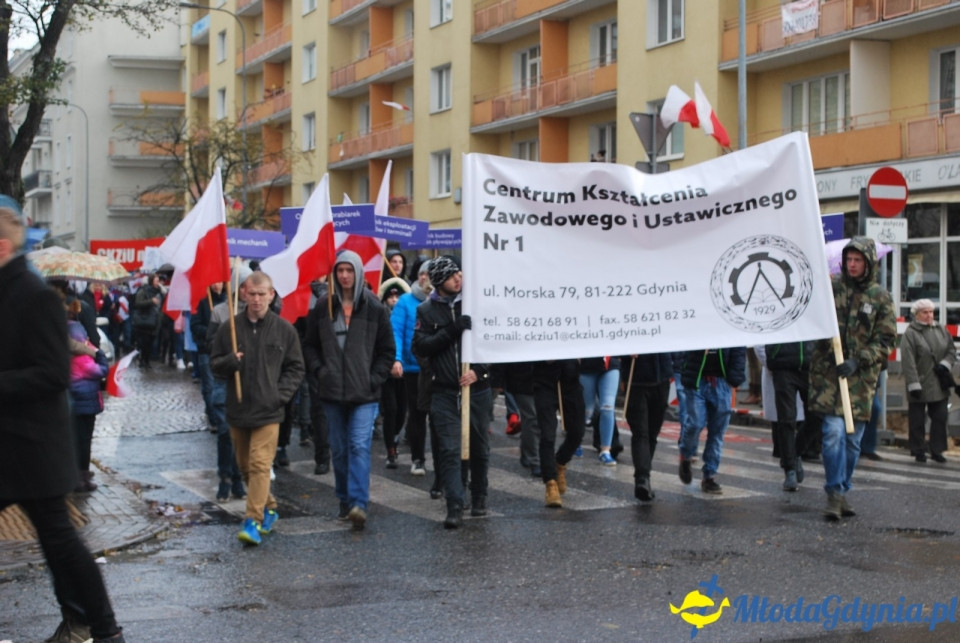 Parada Niepodległości 2017 (II)