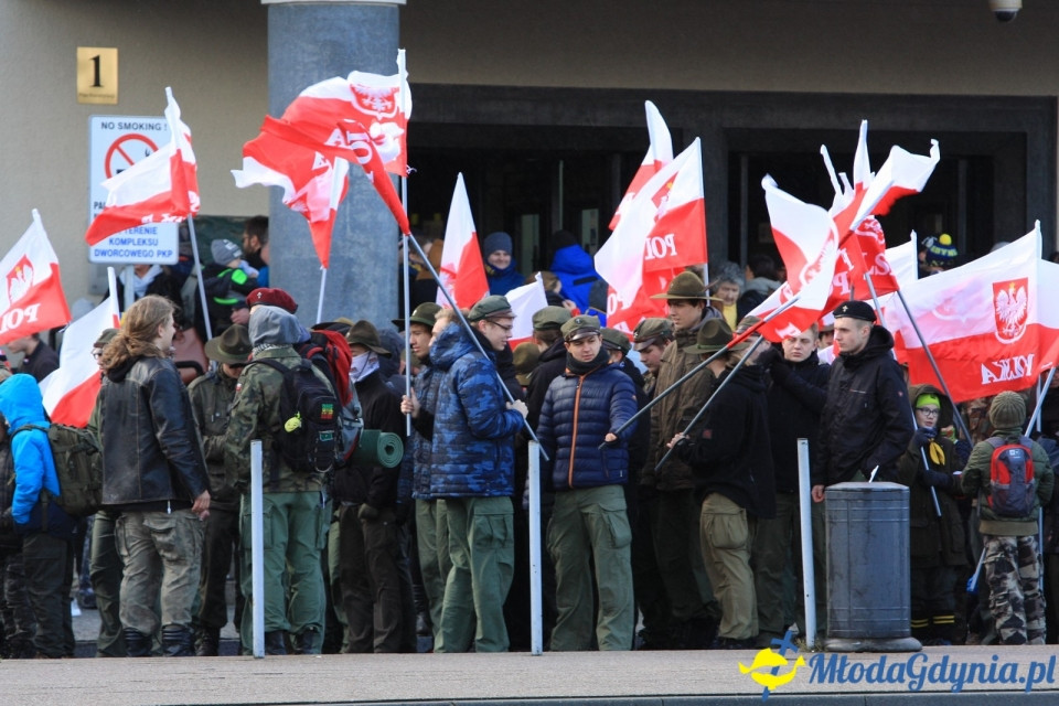 Parada Niepodległości (III)