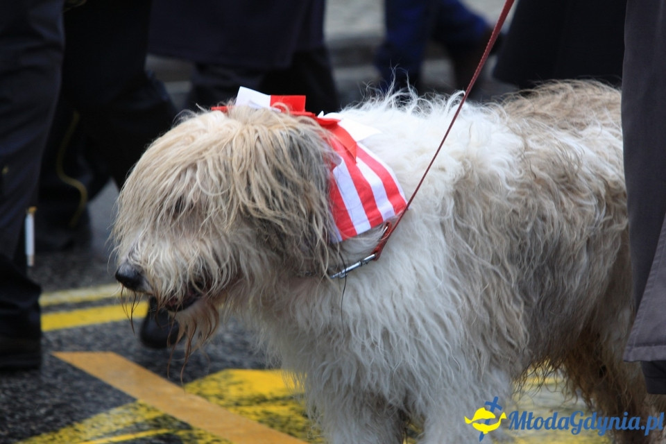 Parada Niepodległości (III)