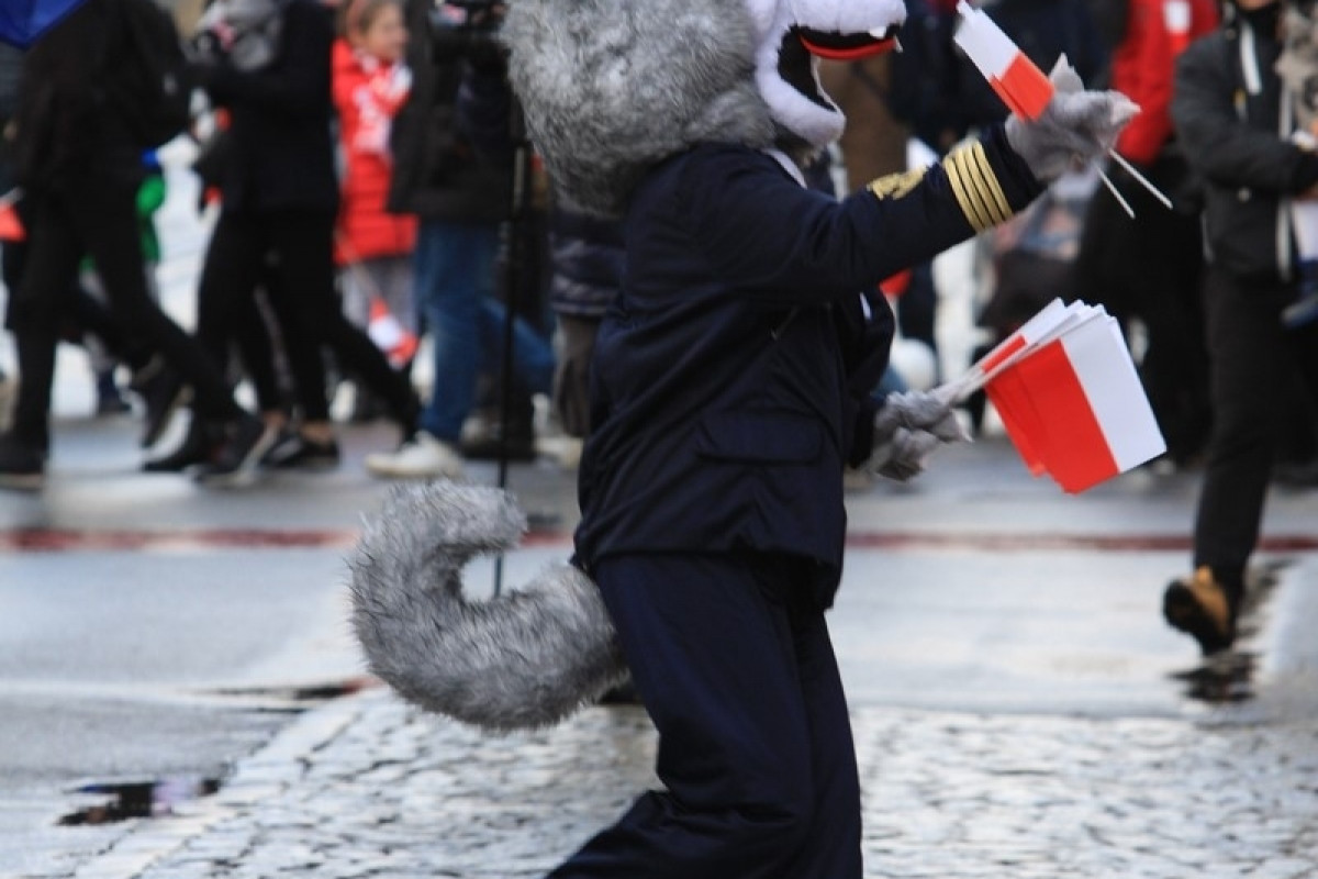 Parada Niepodległości (III)