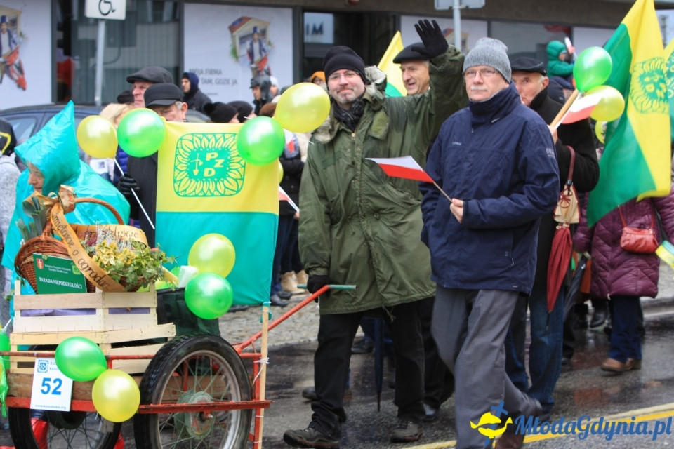 Parada Niepodległości (III)