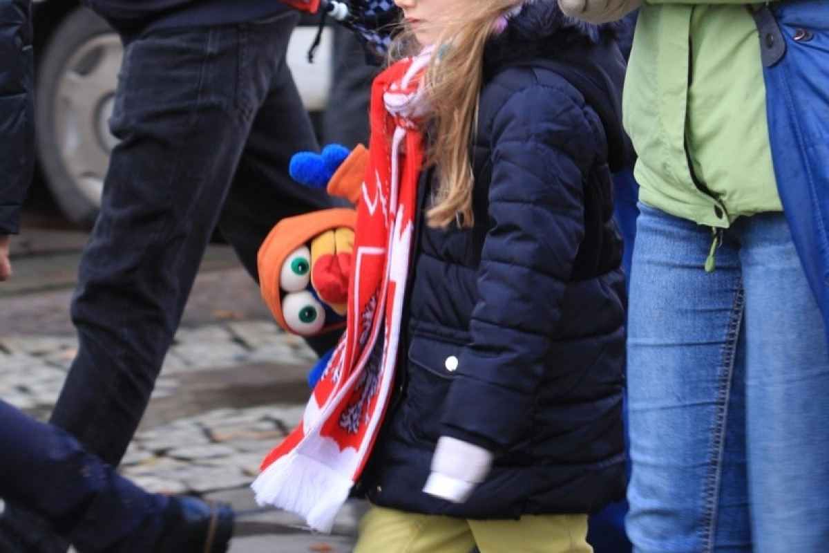 Parada Niepodległości (III)