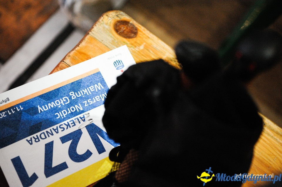 Marsz nordic walking - Bieg Niepodległości z PKO Bankiem Polskim 2017 (I)