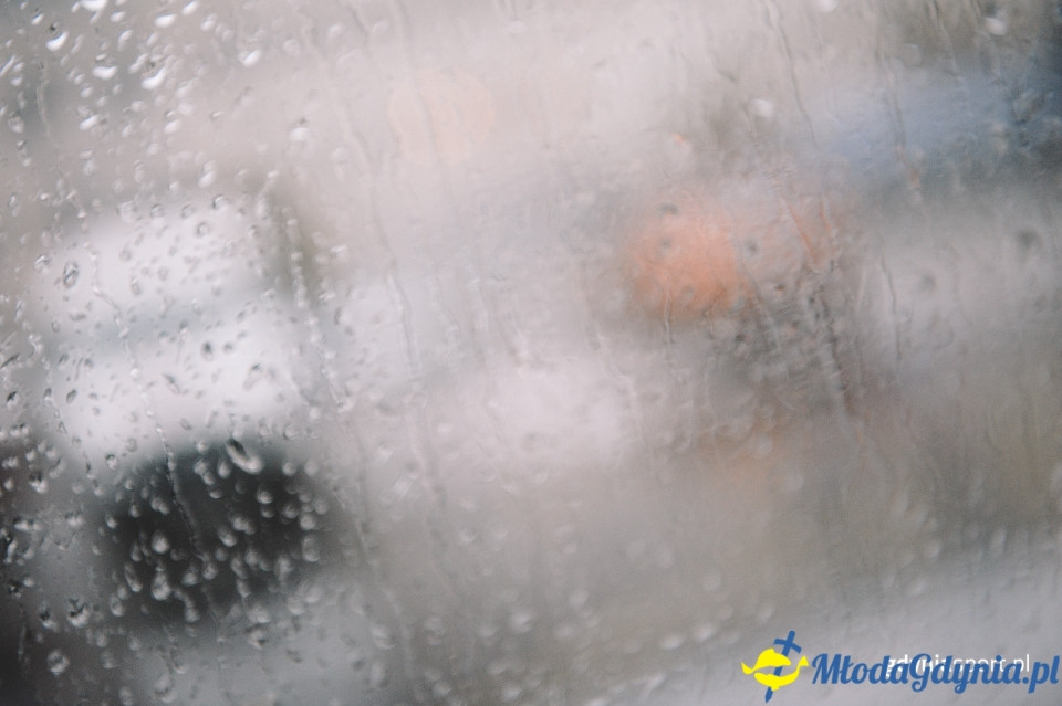 Marsz nordic walking - Bieg Niepodległości z PKO Bankiem Polskim 2017 (I)