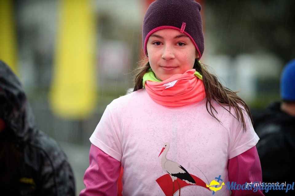 Marsz nordic walking - Bieg Niepodległości z PKO Bankiem Polskim 2017 (I)